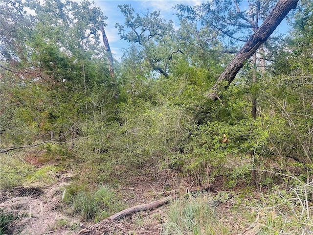 215 Mesquite Trl, Somerville, TX 77879 - photo 2