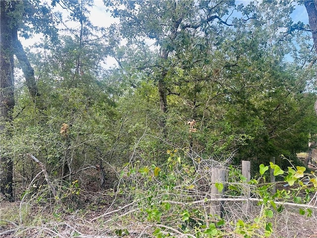 215 Mesquite Trl, Somerville, TX 77879 - photo 3