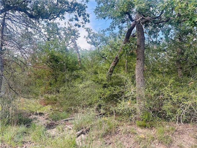 215 Mesquite Trl, Somerville, TX 77879 - photo 4