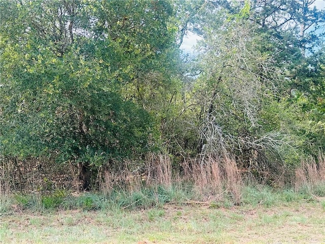 215 Mesquite Trl, Somerville, TX 77879 - photo 6