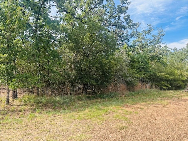 215 Mesquite Trl, Somerville, TX 77879 - photo 1