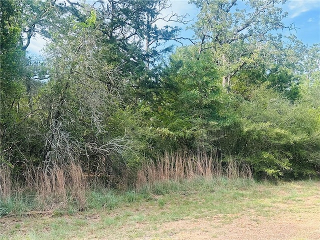 215 Mesquite Trl, Somerville, TX 77879 - photo 5