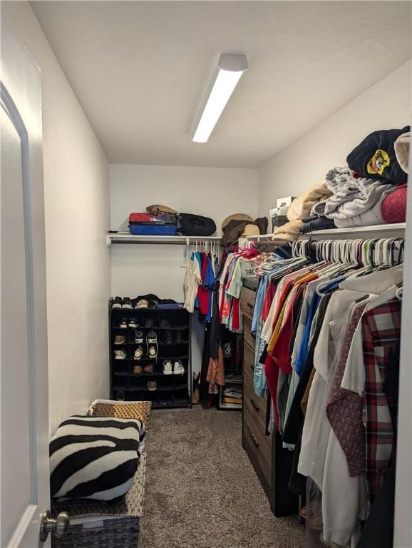 walk in closet with dark colored carpet