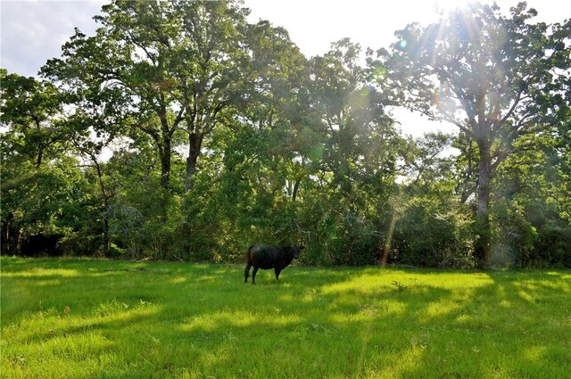 5564 Hwy 90 N, Anderson, TX 77830
