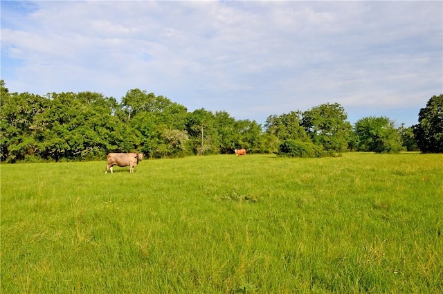 5564 Hwy 90 N, Anderson, TX 77830