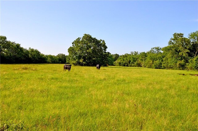 5564 Hwy 90 N, Anderson, TX 77830
