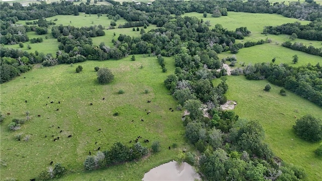5564 Hwy 90 N, Anderson, TX 77830