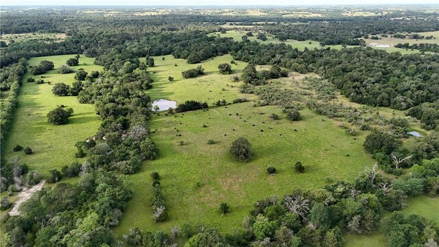 5564 Hwy 90 N, Anderson, TX 77830