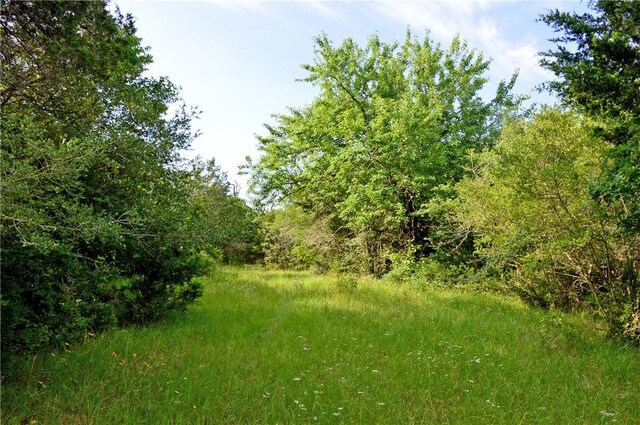 5564 Hwy 90 N, Anderson, TX 77830