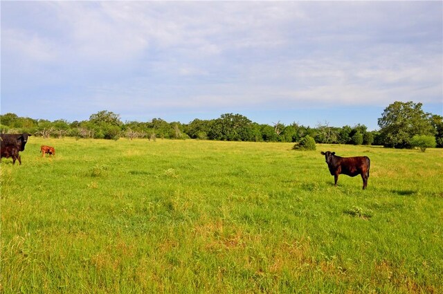 5564 Hwy 90 N, Anderson, TX 77830