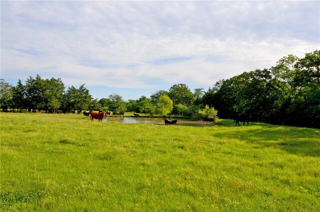5564 Hwy 90 N, Anderson, TX 77830