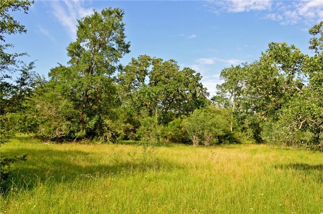 5564 Hwy 90 N, Anderson, TX 77830