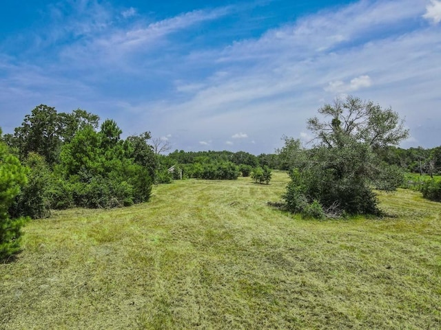 19822 Megan St, Bedias, TX 77831