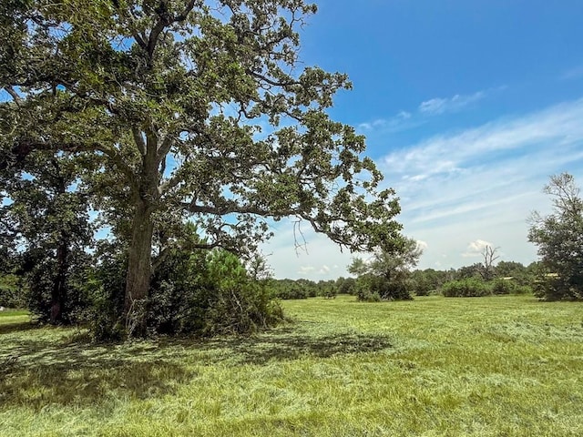 19822 Megan St, Bedias, TX 77831