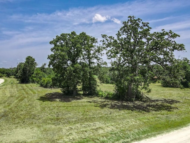 19822 Megan St, Bedias, TX 77831