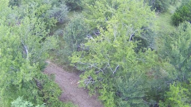 99999 Fm 1696, Iola, TX 77861 - photo 12