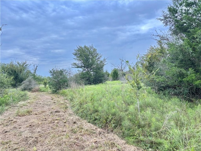 99999 Fm 1696, Iola, TX 77861 - photo 8