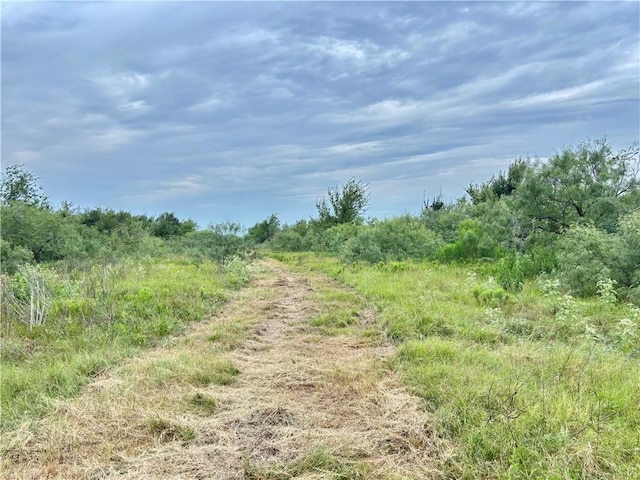 99999 Fm 1696, Iola, TX 77861 - photo 17