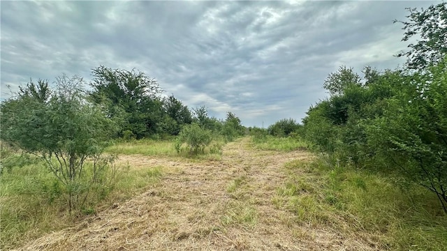 99999 Fm 1696, Iola, TX 77861 - photo 15