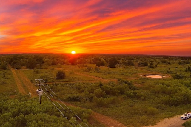 99999 Fm 1696, Iola, TX 77861 - photo 1