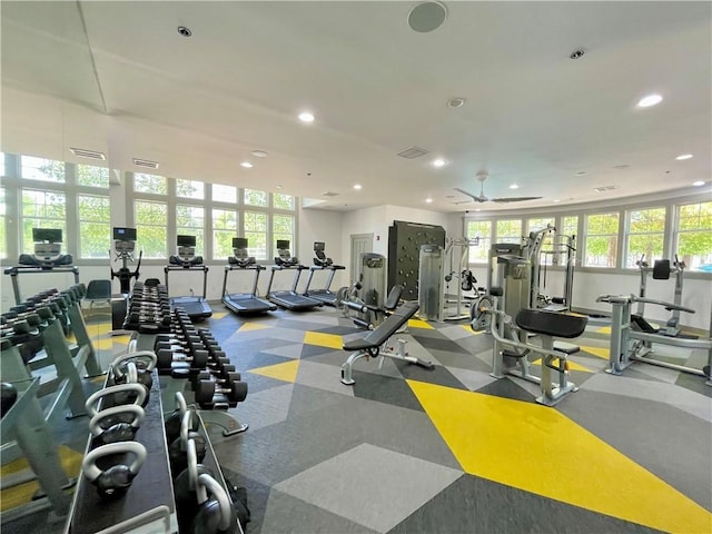 exercise room featuring a wealth of natural light