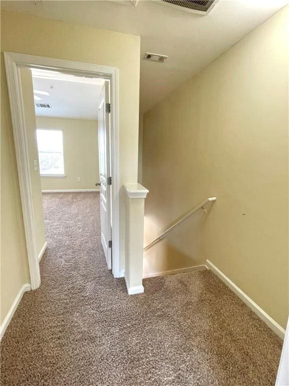 hallway featuring carpet floors