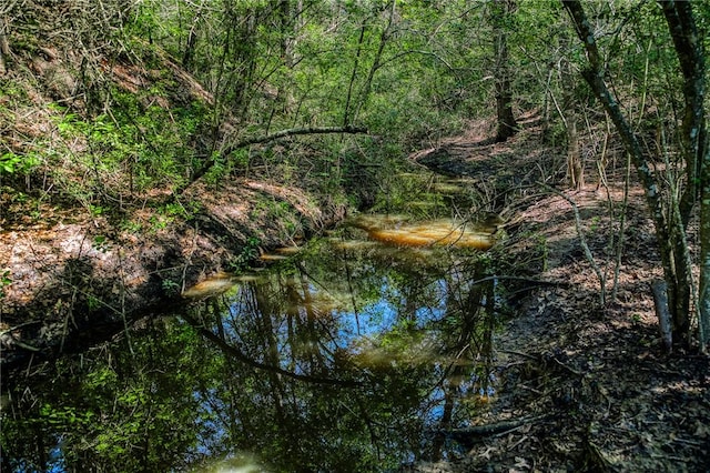 1012 County Road 438, Lexington, TX 78947