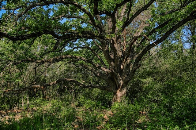 1012 County Road 438, Lexington, TX 78947