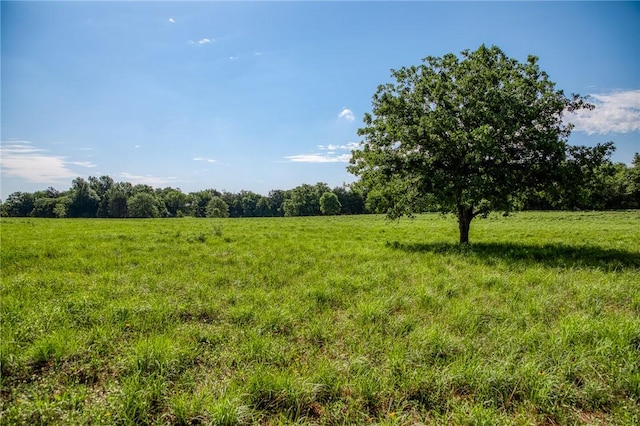 1012 County Road 438, Lexington, TX 78947