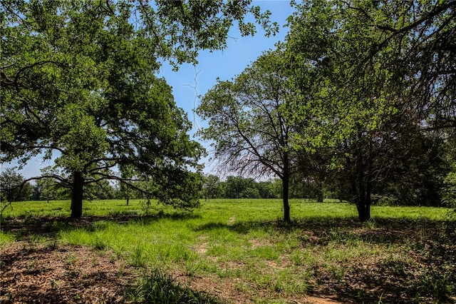 1012 County Road 438, Lexington, TX 78947