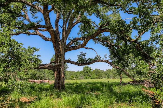 1012 County Road 438, Lexington, TX 78947