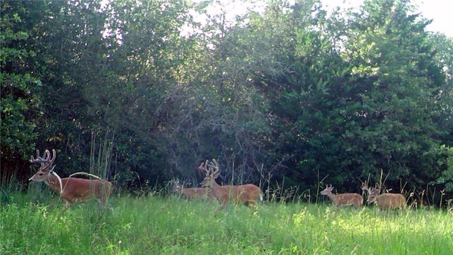 1012 County Road 438, Lexington, TX 78947