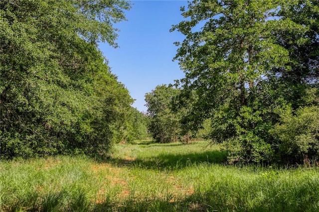 1012 County Road 438, Lexington, TX 78947
