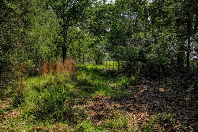 1012 County Road 438, Lexington, TX 78947