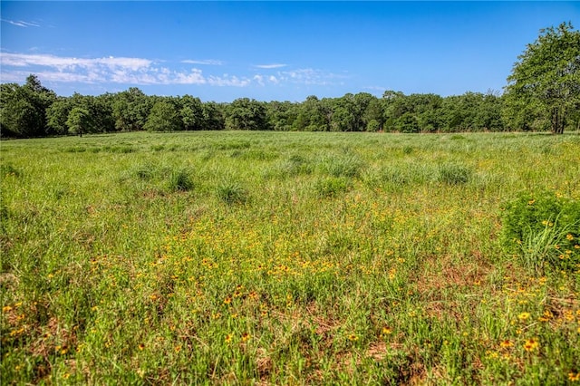 1012 County Road 438, Lexington, TX 78947