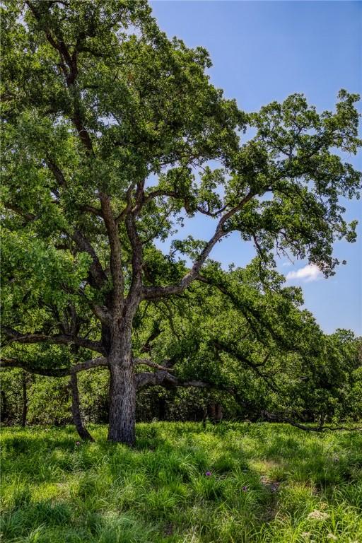 1012 County Road 438, Lexington, TX 78947