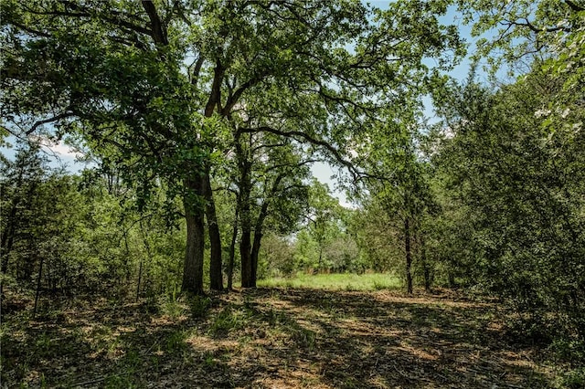 1012 County Road 438, Lexington, TX 78947