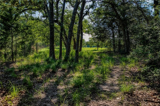 1012 County Road 438, Lexington, TX 78947