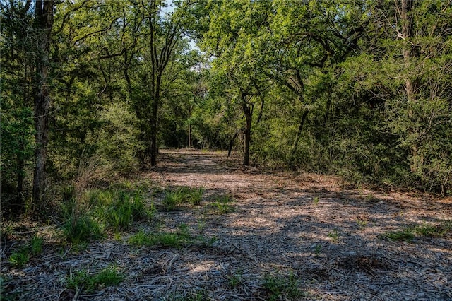 1012 County Road 438, Lexington, TX 78947