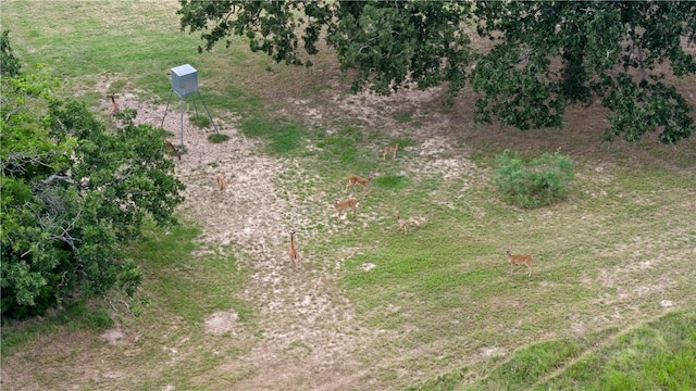 8166 Riley Rd, Bryan, TX 77808 - photo 28