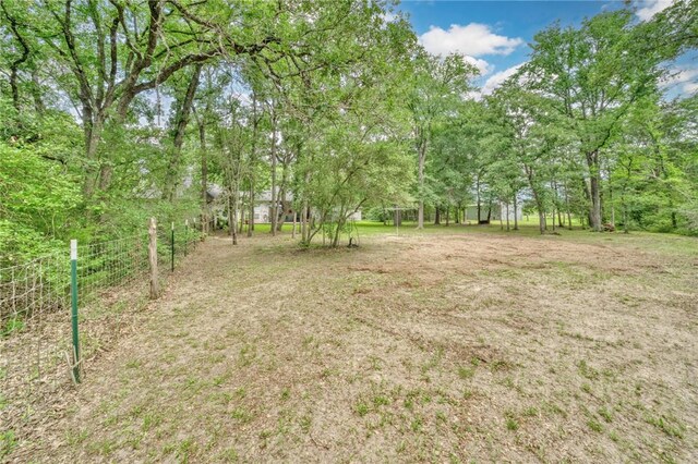 5303 Creek Ln, College Station, TX 77845 - view of yard