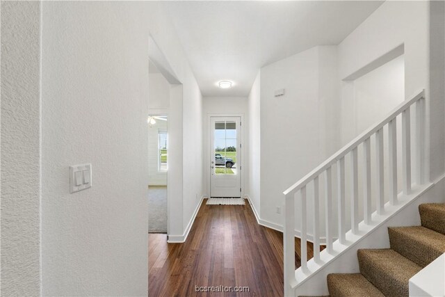 entrance foyer featuring ceiling fan and dark hardwood / wood-style flooring