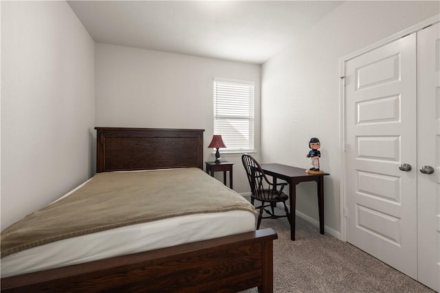 15213 Still Water Meadow Loop, College Station, TX 77845 - photo 15