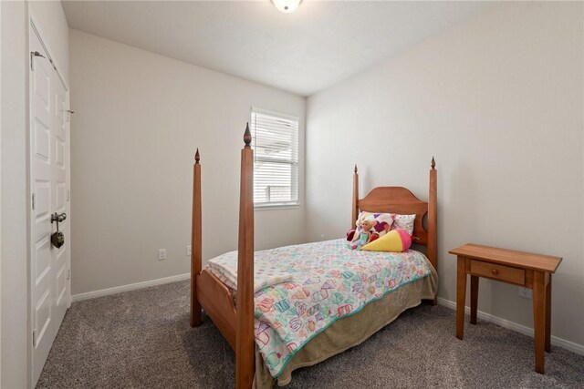 15213 Still Water Meadow Loop, College Station, TX 77845 - photo 13