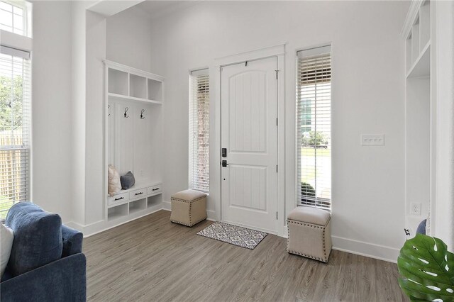802 Aberdeen Pl, College Station, TX 77840 - photo 12