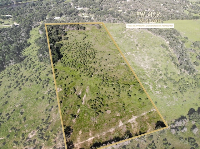 23.2218ACRES Fm 908, Caldwell, TX 77836 - photo 1