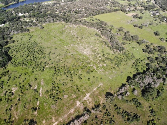 23.2218ACRES Fm 908, Caldwell, TX 77836 - photo 10