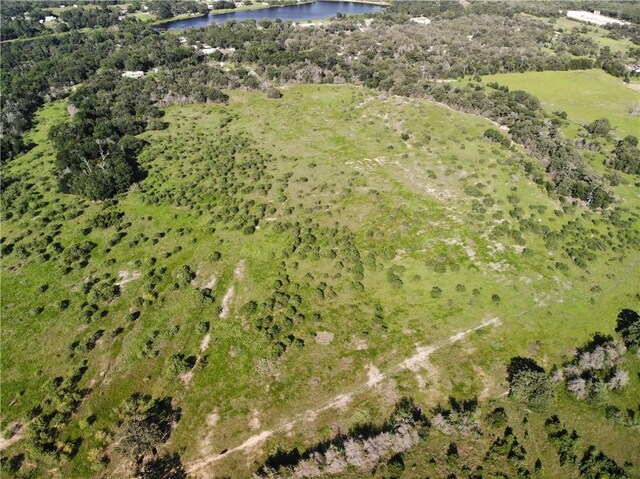 23.2218ACRES Fm 908, Caldwell, TX 77836 - photo 7