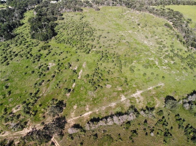 23.2218ACRES Fm 908, Caldwell, TX 77836 - photo 6