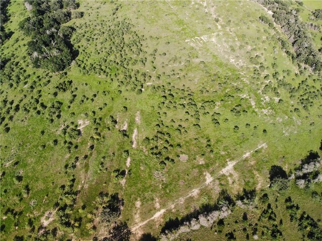 23.2218ACRES Fm 908, Caldwell, TX 77836 - photo 18